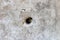old electric hole cement background texture