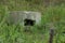 The old embrasure of the military pillbox in the grass behind the barbed wire