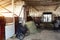 Old empty stables barn at horse farm with wooden beams , sulky cart and hay for feeding animals. Bright sunset sky