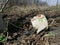 An old enameled teapot lies on the ground. abandoned dishes. War in everyday life, after the catastrophe.