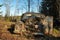 Old English car abandoned in a forest in Sweden