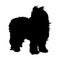 Old English Sheep Dog Standing On a Side View Silhouette Found In Map Of Europe. Good To Use For Element Print Book, Animal Book