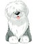 Old English Sheepdog