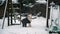 Old English Sheepdog puppy plays with swing in snow