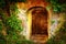 Old entrance door in forest. Wine cellar