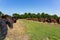 Old equipment and machinery and dead tractors lined up in field