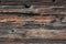 Old eroded wood texture. Old wood natural pattern. Aged brown wood background. Oak wood texture