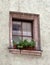 Old European window with plant