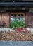 Old European wooden window with shutters and flower