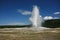 Old faithful geyser