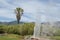 Old Faithful Geyser of California