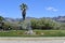 Old Faithful Geyser of California in Calistoga, California