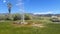 Old Faithful Geyser of California in Calistoga, California