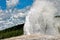 Old Faithful geyser erupts in a cloud of steam