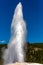 Old Faithful geyser shooting into the air in Yellowstone Park Wyoming with a blue sky