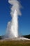 Old Faithful geyser in Yellowstone National Park,USA.