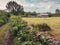 Old farm building with round metal roof, Green field, small road and stone fence. Rural landscape