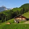 Old farm house in Gsteig bei Gstaad and Mount Oldenhorn.