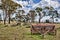 Old farm machinery in field