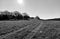 Old farm tracks across a grass field