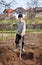 Old farmer digging in the garden