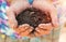 Old farmer holding pile of arable soil in hands