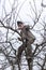 Old farmer trimming trees in his orchard in