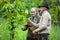 Old farmers couple in the orchard