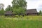 Old farmhouse and courtyard, Saaremaa, Estonia