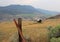 Old farmhouse in a field near Lillooet, British Columbia