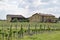 An old farmhouse and its vineyard in the Brescia countryside - Italy