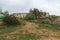 Old farmhouse in the middle of an almond field