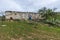 Old farmhouse in the middle of an almond field