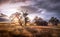 Old Farmhouse at Sunset On a Meadow