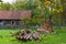 Old farmstead and firewood for heating Rumsiskes Lithuania