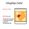 Old Fashioned alcoholic cocktail vector illustration recipe isolated