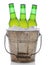 Old Fashioned Beer Bucket With Three Bottles