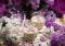 OLD-FASHIONED CREAMY DESSERT HONEY LILAC POSSET