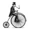 old-fashioned gentleman on bicycle sketch vector