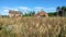 Old Fashioned home with Octagon Barn