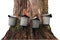 Old Fashioned Maple Sap Buckets