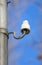An old-fashioned out-of-date ceramic insulator mounted on metal pole