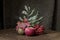 Old fashioned still life of autumn fruit and leaves