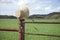 Old fashioned straw bonnet on fence post in Texas Hill Country