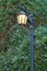 Old Fashioned Street Lamp with Blue Plumbago Flowering Shrubs in the Backdrop