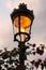 Old fashioned street lamp in evening