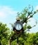 Old fashioned vintage street clock against greenl trees and blue sky
