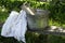 Old fashioned washboard with laundry outside