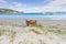 Old-fashioned wooden clinker dinghy pulled on beach
