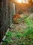Old fence background for photography vertical blurred